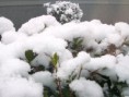 /album/photo-gallery-fall-winter-14/a100-6883-jpg1/