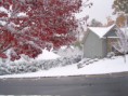 /album/photo-gallery-fall-winter-14/a100-6878-jpg1/