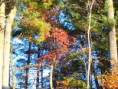 /album/photo-gallery-fall-winter-14/a100-6874-jpg1/