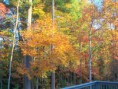/album/photo-gallery-fall-winter-14/a100-6871-jpg1/